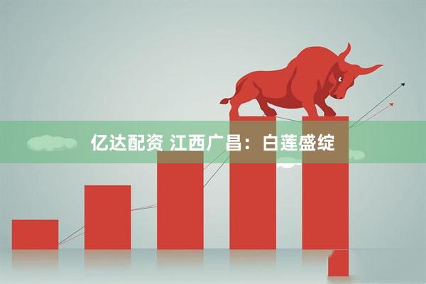 亿达配资 江西广昌：白莲盛绽