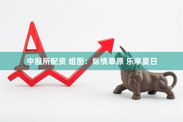 中股所配资 组图：纵情草原 乐享夏日