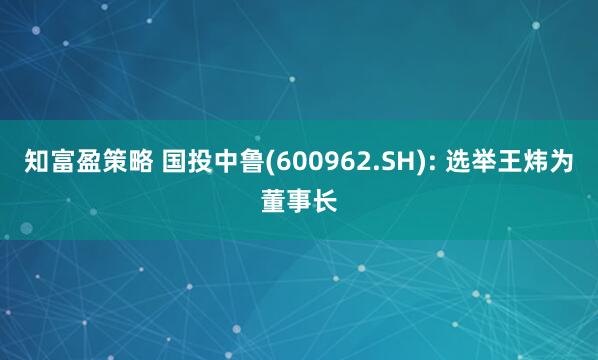 知富盈策略 国投中鲁(600962.SH): 选举王炜为董事长