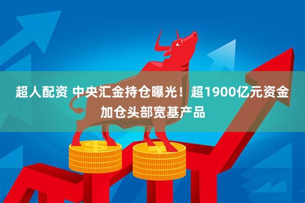 超人配资 中央汇金持仓曝光！超1900亿元资金加仓头部宽基产品
