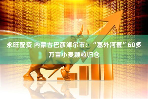 永旺配资 内蒙古巴彦淖尔市：“塞外河套”60多万亩小麦颗粒归仓